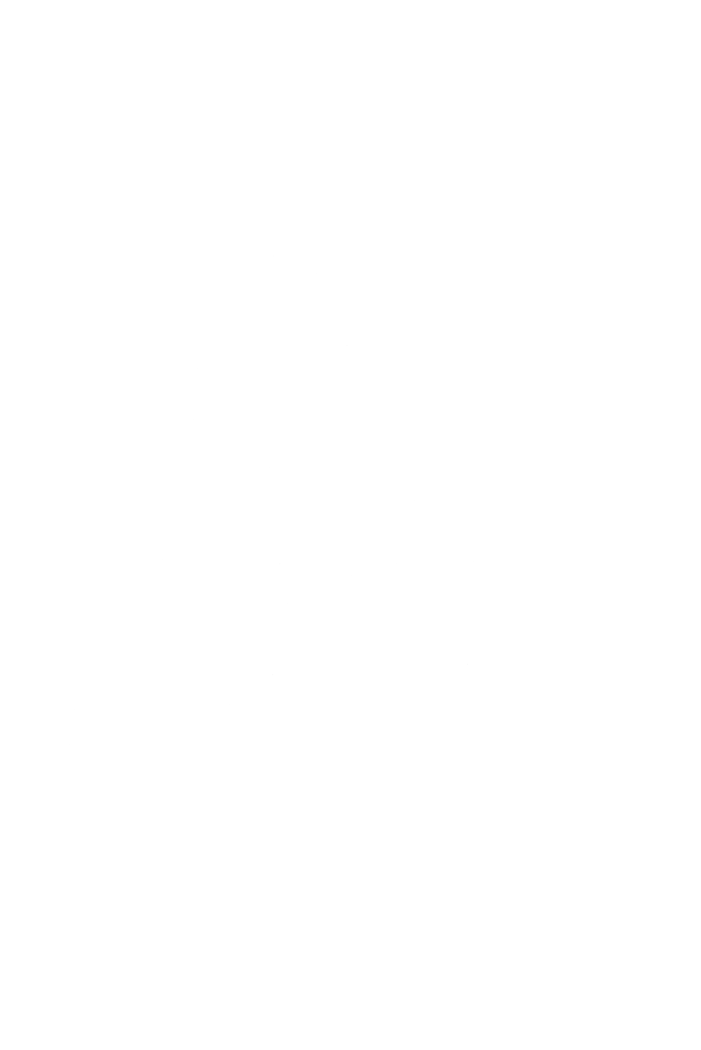 An illustration of Lizie